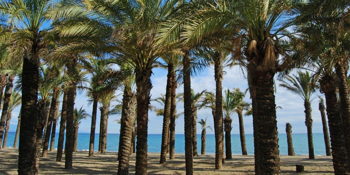 Apartamento Carole Playa Bajondillo Torremolinos Beach - Playa A 30 Segundos - Wifi - Parking - Terrazaアパートメント エクステリア 写真